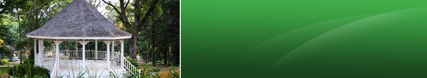 Pearson & Virlee, PC